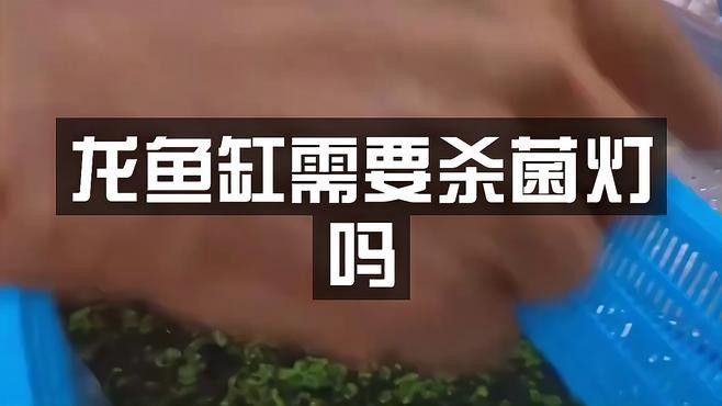 龍魚缸需要放殺菌燈嗎