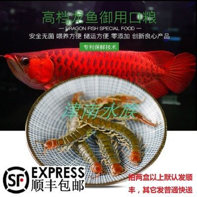 龍魚可以吃蠶蛹嗎：龍魚可以吃蠶蛹嗎龍魚可以吃蠶蛹嗎 龍魚可以吃蠶蛹嗎：龍魚可以吃蠶蛹嗎龍魚可以吃蠶蛹嗎 龍魚百科 第3張