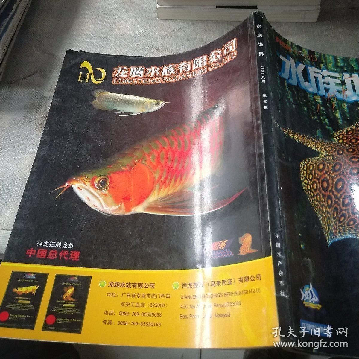 祥龍水族優惠活動查詢：祥龍水族優惠活動 祥龍水族優惠活動查詢：祥龍水族優惠活動 龍魚百科 第3張