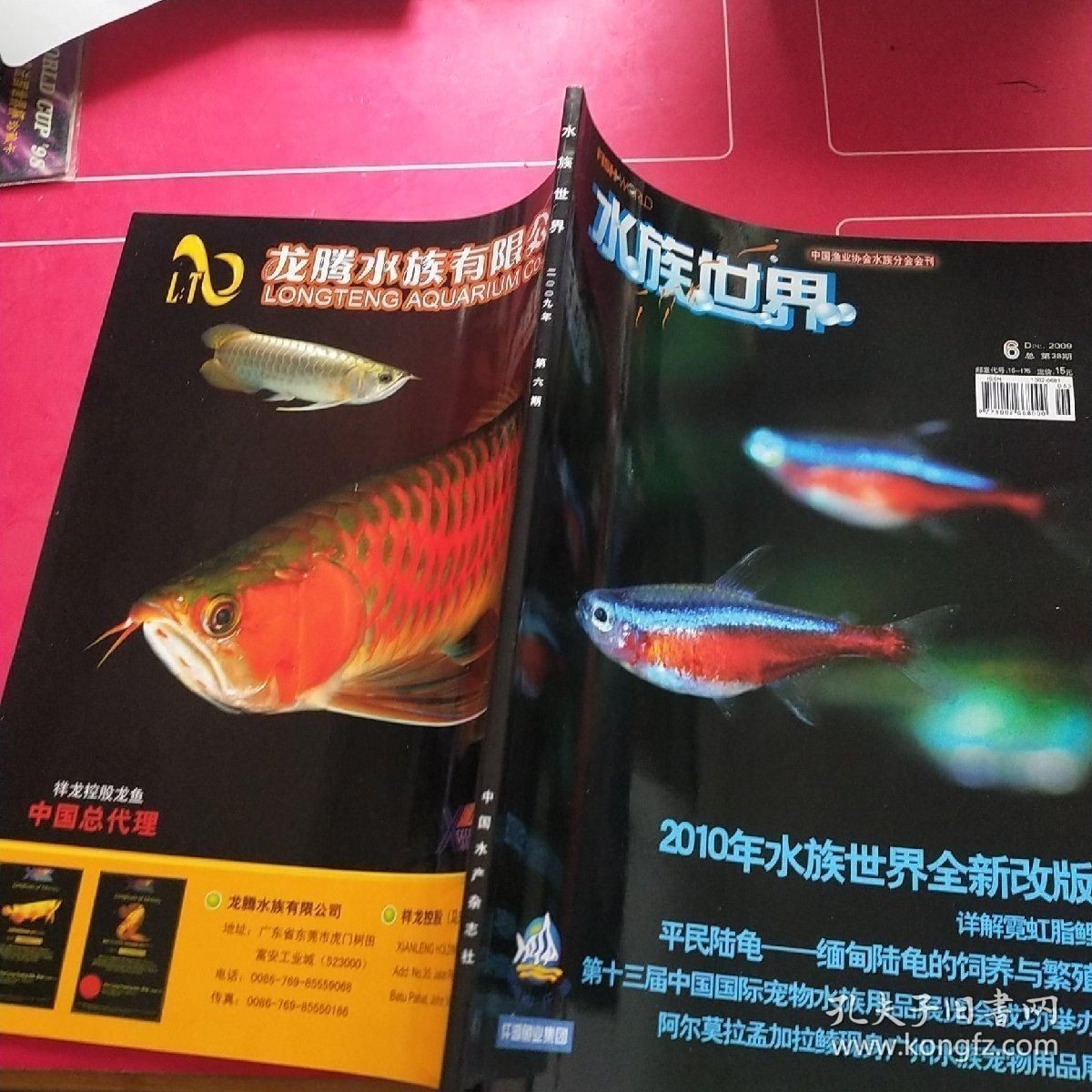 祥龍水族優惠活動查詢：祥龍水族優惠活動 祥龍水族優惠活動查詢：祥龍水族優惠活動 龍魚百科 第5張