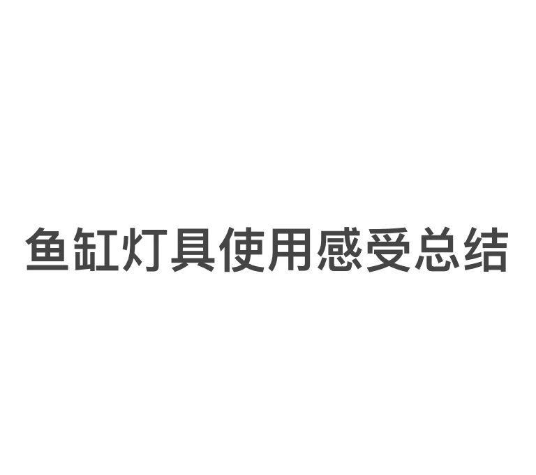 馬印燈不能隨便照