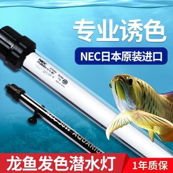 龍魚發色專用燈圖片：龍魚專用燈的色溫選擇技巧 龍魚發色專用燈圖片：龍魚專用燈的色溫選擇技巧 龍魚百科 第5張
