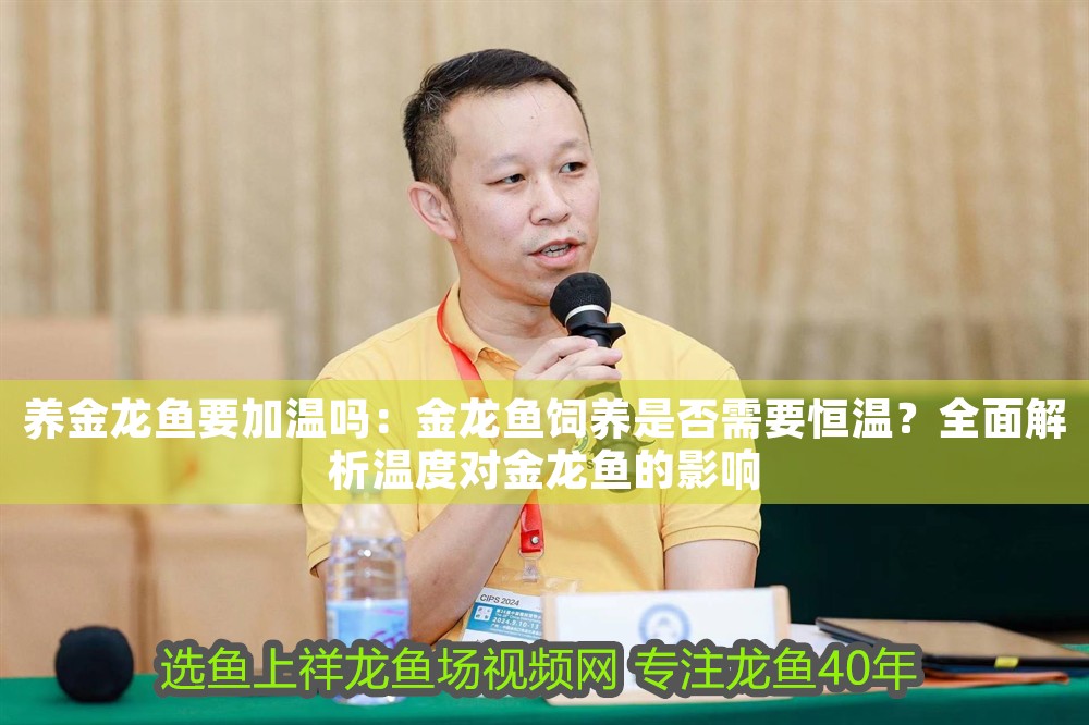 養金龍魚要加溫嗎：金龍魚飼養是否需要恒溫？全面解析溫度對金龍魚的影響