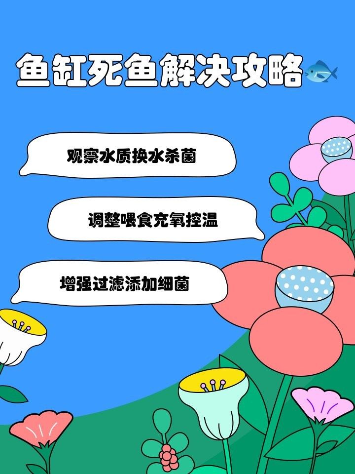 龍魚死亡后多久可以補養新魚？ 龍魚死亡后多久可以補養新魚？ 龍魚百科 第7張