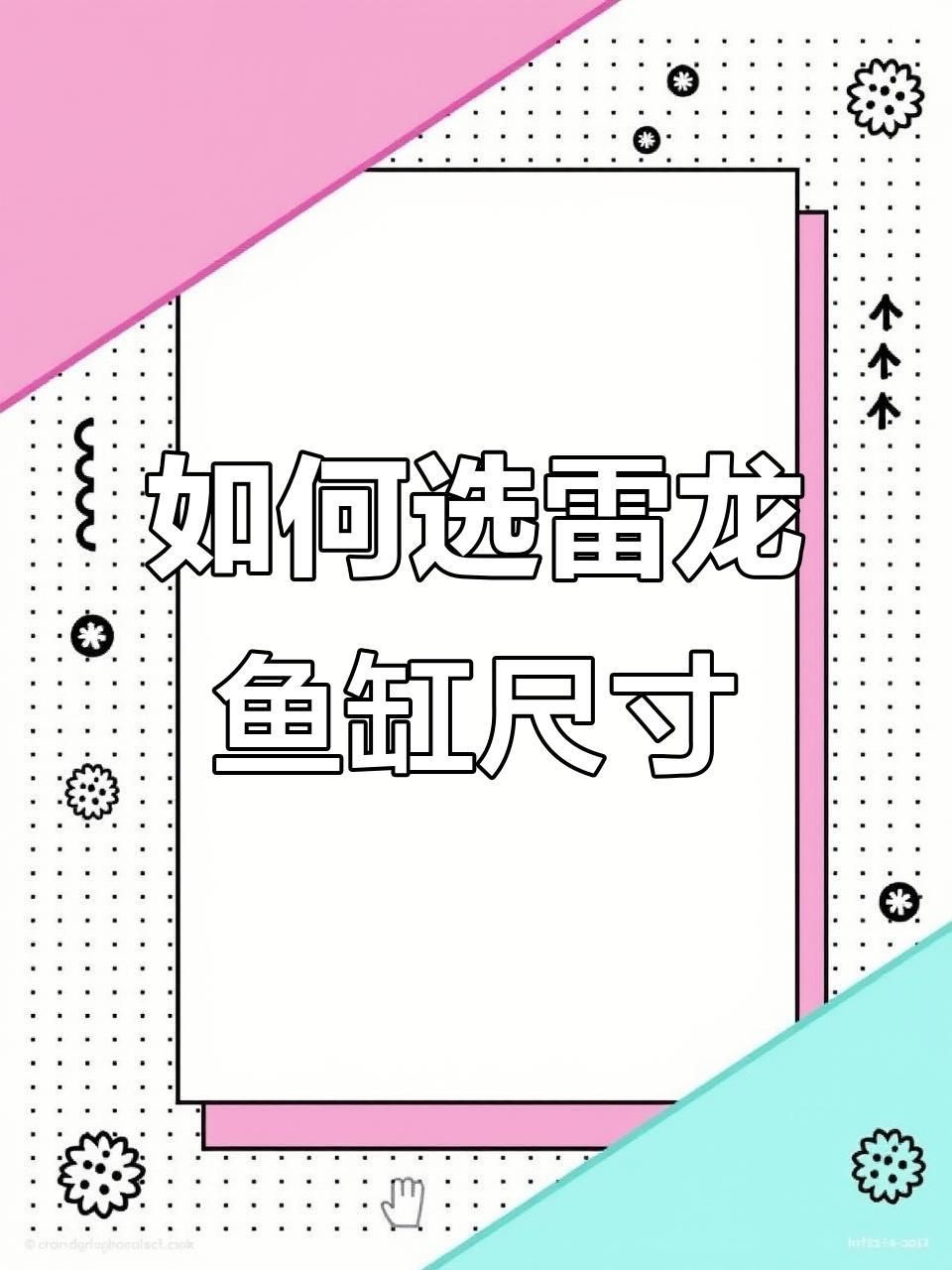 鬼王雷龍魚需要多大的魚缸？