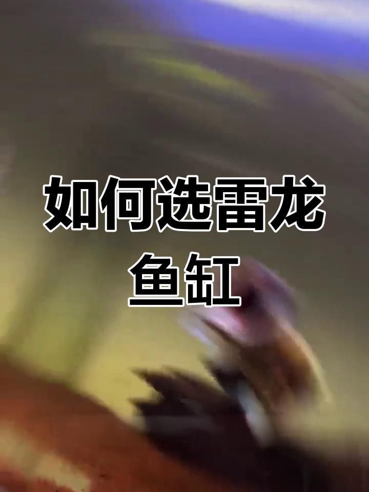 鬼王雷龍魚需要多大的魚缸？