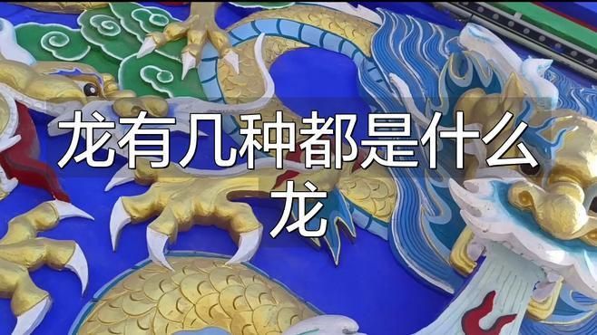 龍分幾種等級(jí)