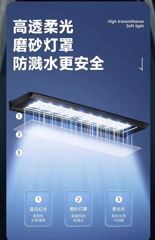 龍魚增艷燈哪個牌子好 龍魚增艷燈哪個牌子好 龍魚百科 第9張