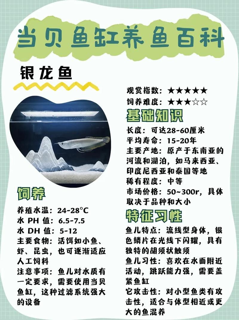 銀龍魚有什么品種 龍魚百科 第4張 銀龍魚有什么品種 銀龍魚有什么品種 龍魚百科 第4張