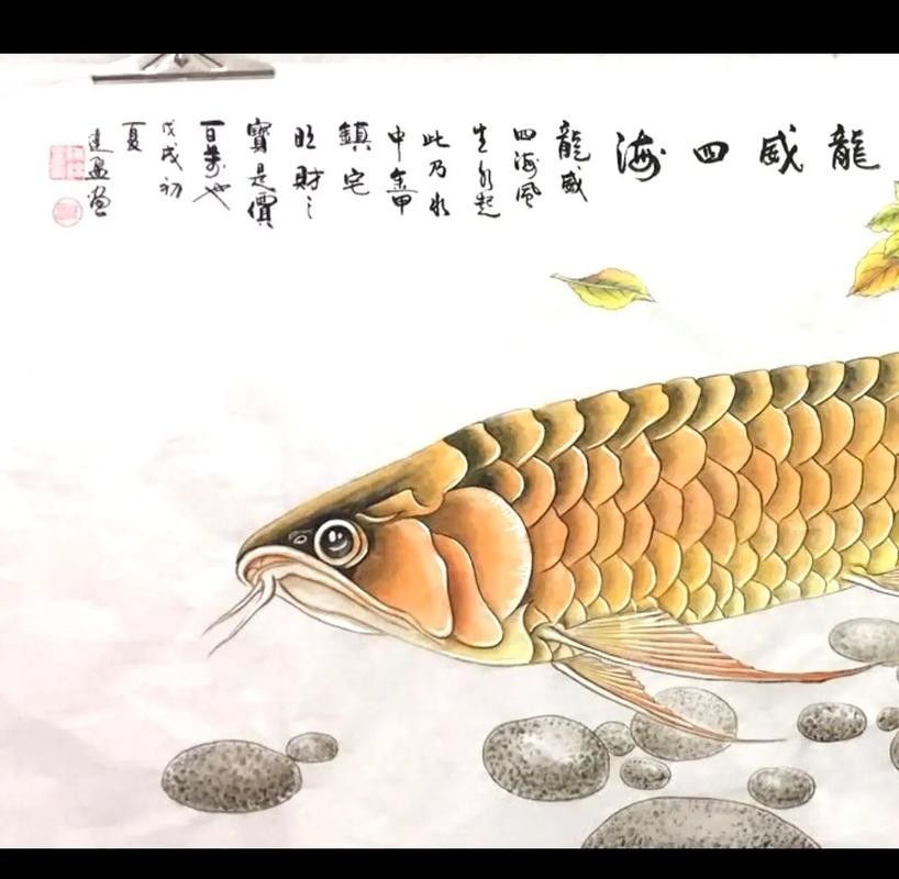 龍魚圖片 國畫大全