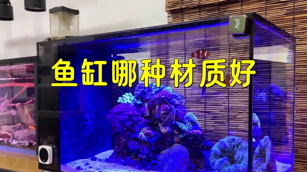 哪種材質(zhì)的魚缸最耐用？