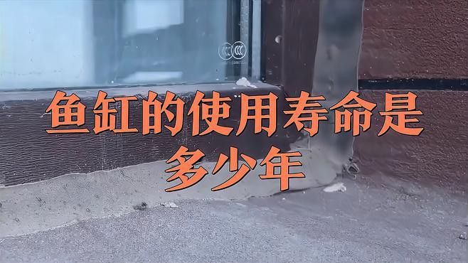 哪種材質的魚缸最耐用？