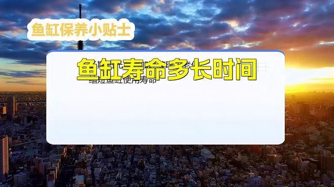 哪種材質的魚缸最耐用？