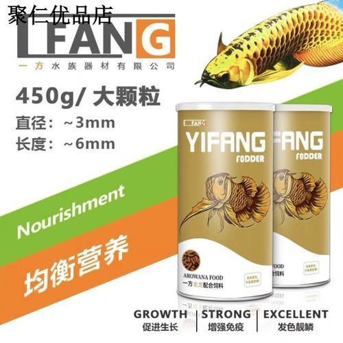 金龍魚發白是什么原因造成的