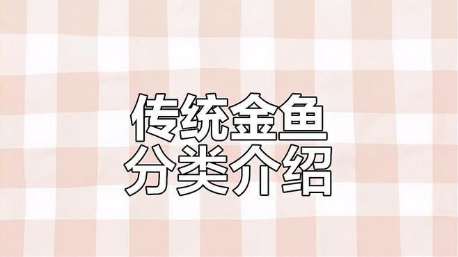 如何挑選名品龍種金魚 如何挑選名品龍種金魚 龍魚百科 第4張