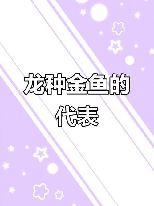 如何挑選名品龍種金魚 如何挑選名品龍種金魚 龍魚百科 第8張