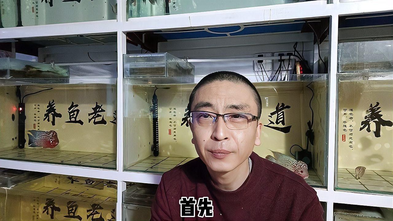 換水時如何保持水質參數穩定？ 換水時如何保持水質參數穩定？ 龍魚百科 第1張