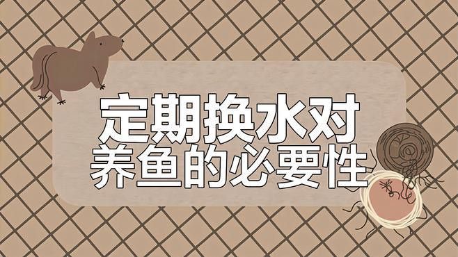 換水時如何保持水質參數穩定？ 換水時如何保持水質參數穩定？ 龍魚百科 第3張