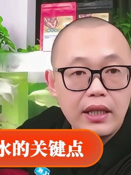 換水時如何保持水質參數穩定？ 換水時如何保持水質參數穩定？ 龍魚百科 第2張