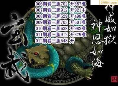 龍魚混養四大神獸一般養幾只（龍魚混養四大神獸一般建議養2-4只）