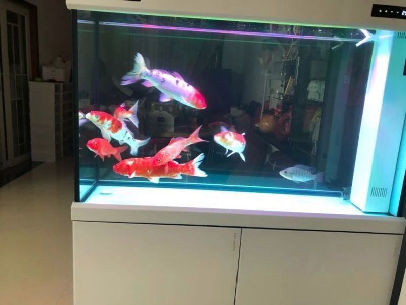 可麗愛魚缸控制面板說明書