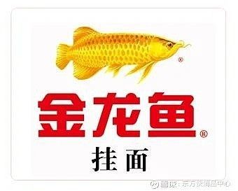 金龍魚新產品（金龍魚推出新產品）