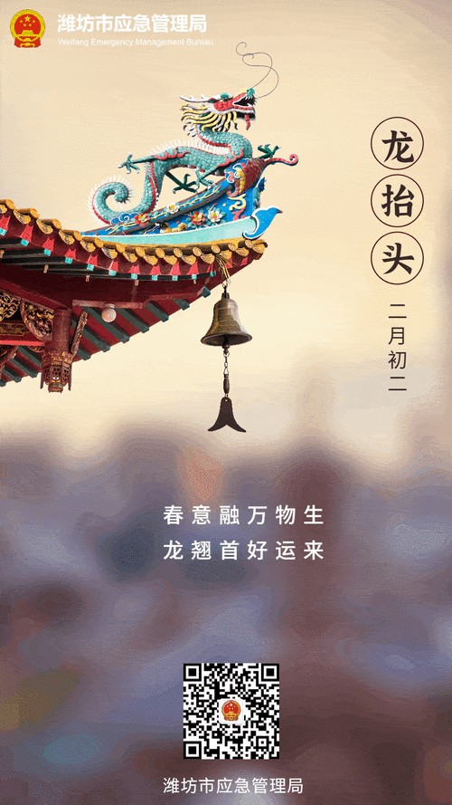 給我推薦一些高清龍動態壁紙