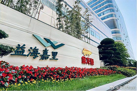 金龍魚是哪國的牌子 金龍魚是哪國的牌子 龍魚百科 第14張