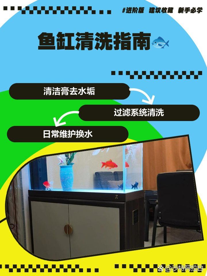 如何清潔魚缸中的龍擺件？