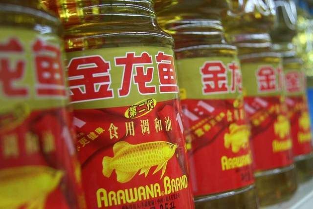 金龍魚 競爭對手（金龍魚國際市場擴張策略,金龍魚如何提升服務質量）
