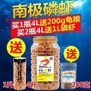 銀龍魚幼魚專用飼料比較：如何判斷銀龍魚幼魚飼料營養成分對比
