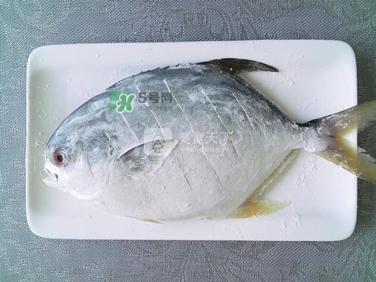 金龍魚和食人魚哪個好養：金龍魚與食人魚，哪種更適合你？