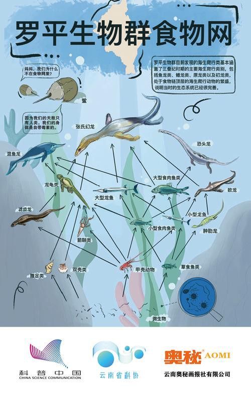 云南龍魚(yú)的特點(diǎn)介紹