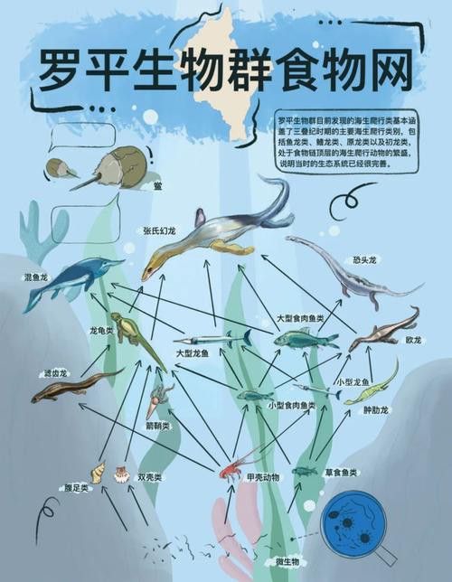 云南龍魚(yú)的特點(diǎn)介紹