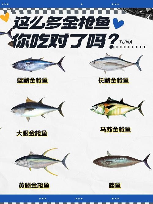 金槍魚和金龍魚