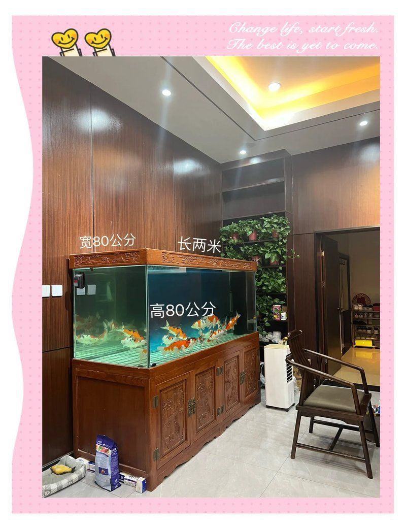 進門看見魚缸最佳位置 龍魚百科 第4張 進門看見魚缸最佳位置 進門看見魚缸最佳位置 龍魚百科 第4張