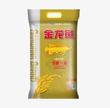 金龍魚新產(chǎn)品有哪些（金龍魚新產(chǎn)品研發(fā)趨勢(shì)分析） 金龍魚新產(chǎn)品有哪些（金龍魚新產(chǎn)品研發(fā)趨勢(shì)分析） 龍魚百科 第1張