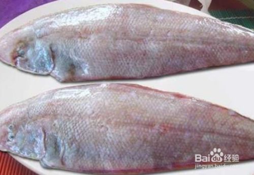 龍魚是海魚還是淡水魚（淡水龍魚與海水龍魚的區別）