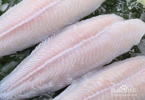 龍魚是海魚還是淡水魚（淡水龍魚與海水龍魚的區別）