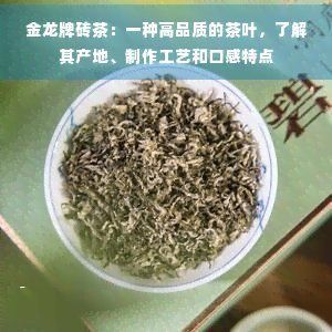 金龍系列中哪個品種最貴？