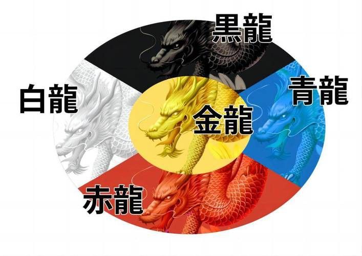 如何設(shè)置金龍魚缸的背景顏色? 龍魚百科 第13張 如何設(shè)置金龍魚缸的背景顏色? 如何設(shè)置金龍魚缸的背景顏色? 龍魚百科 第13張