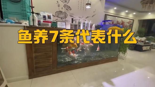 如何在魚缸中科學(xué)飼養(yǎng)七條魚？