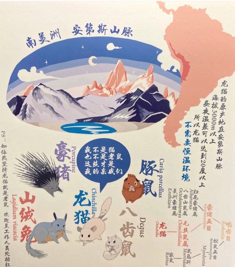 如何評估龍貓的智力進步？