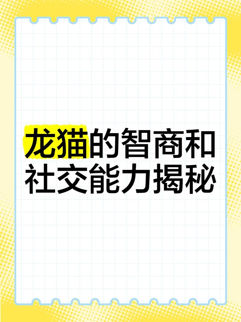 如何評估龍貓的智力進步？