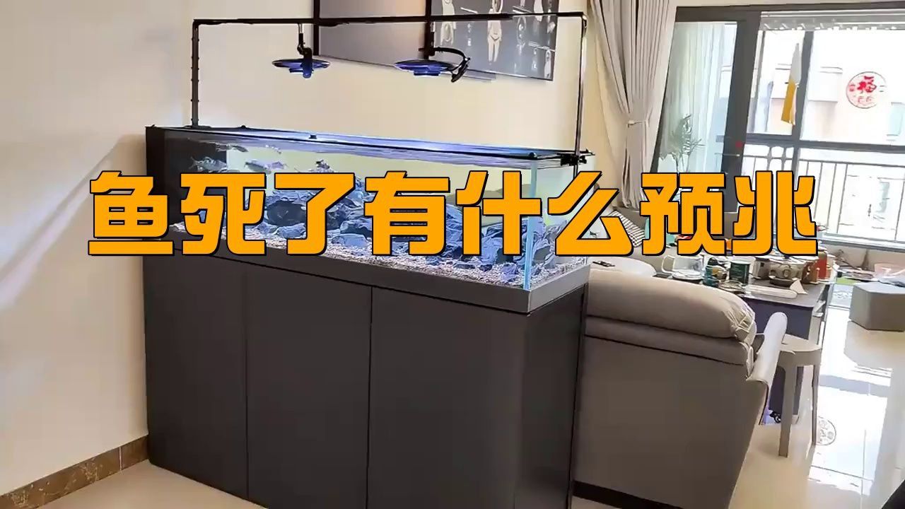 養的金龍魚死了代表什么