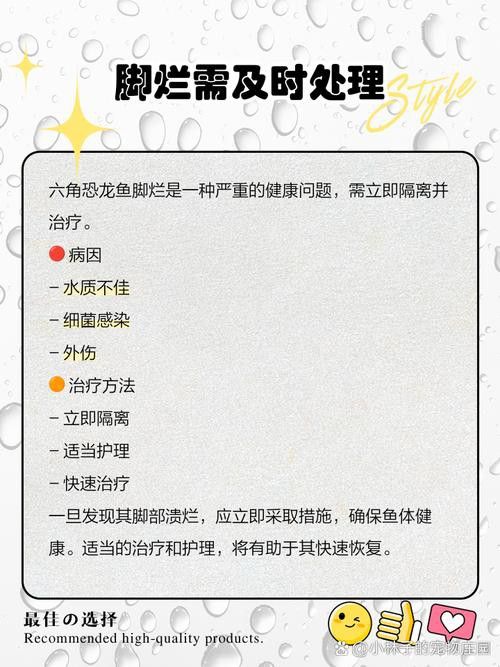 六角龍魚腿爛了怎么辦圖片 龍魚百科 第21張 六角龍魚腿爛了怎么辦圖片 六角龍魚腿爛了怎么辦圖片 龍魚百科 第21張