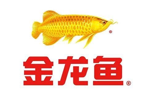 金龍魚哪個國家的