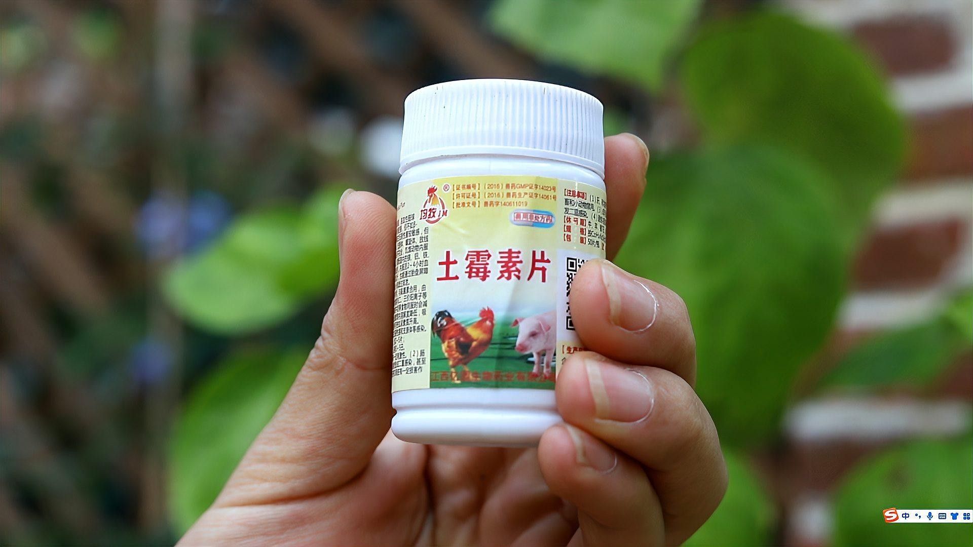 長期不使用土霉素和黃粉會怎樣？