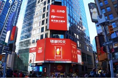 紅色金龍魚寓意什么意思和象征（紅色金龍魚的寓意和象征）