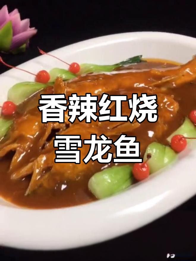 哪里可以買到正宗的雪龍魚？ 哪里可以買到正宗的雪龍魚？ 龍魚百科 第4張